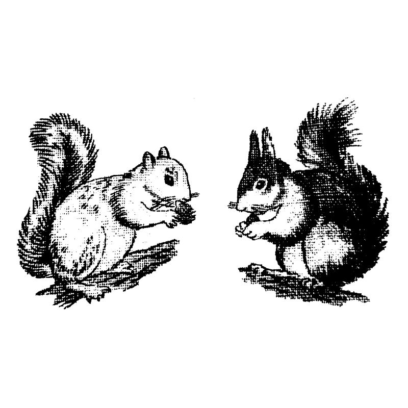 squirrelDUO