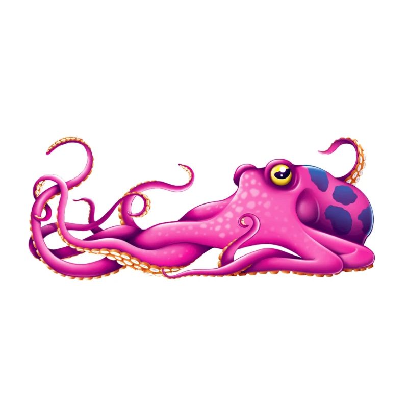 octopus