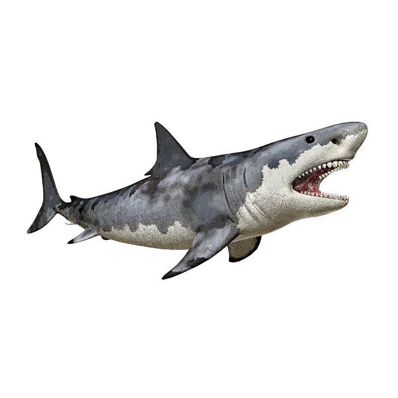Requin blanc à la chasse