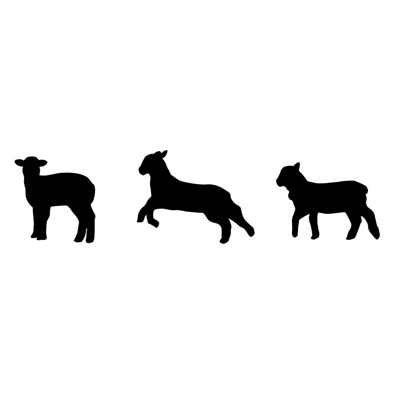 sheep, lamb