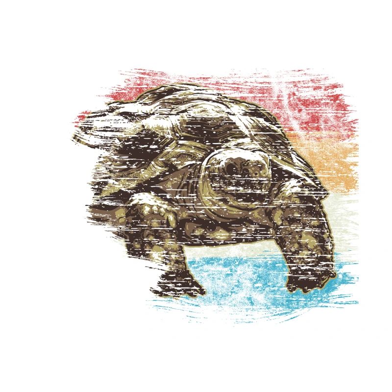 turtle