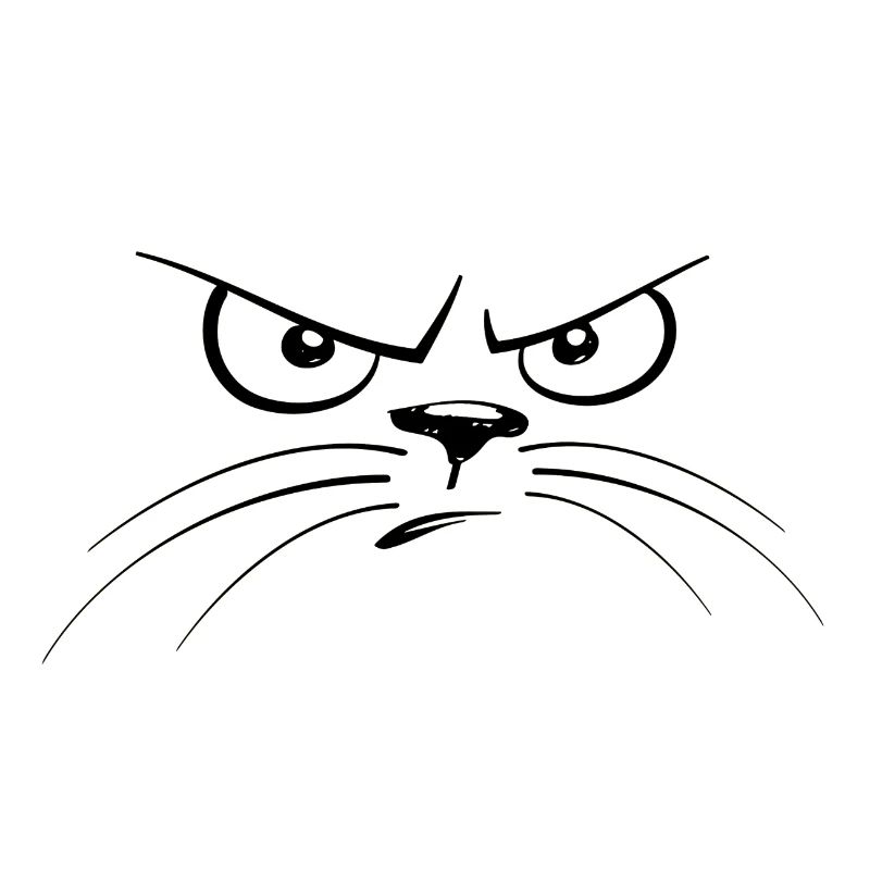 Mürrische Katze
