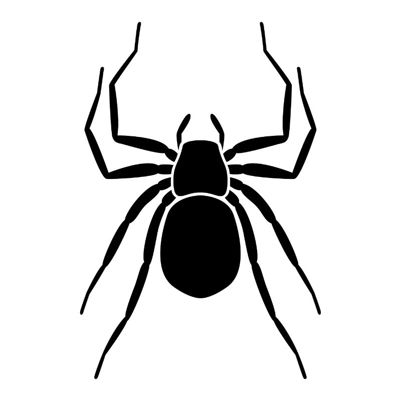 spider