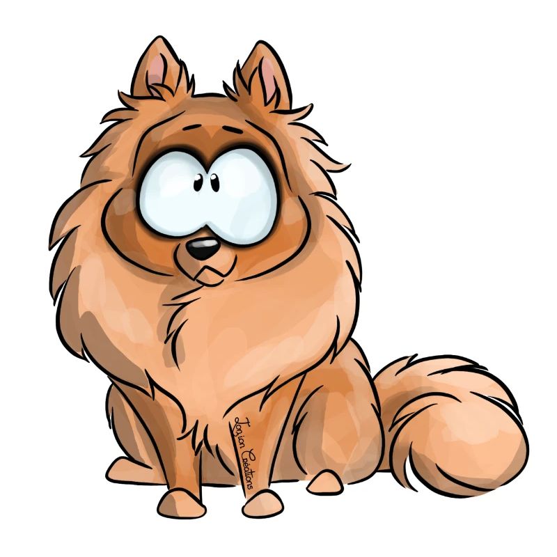 I'm German Spitz Dwarf