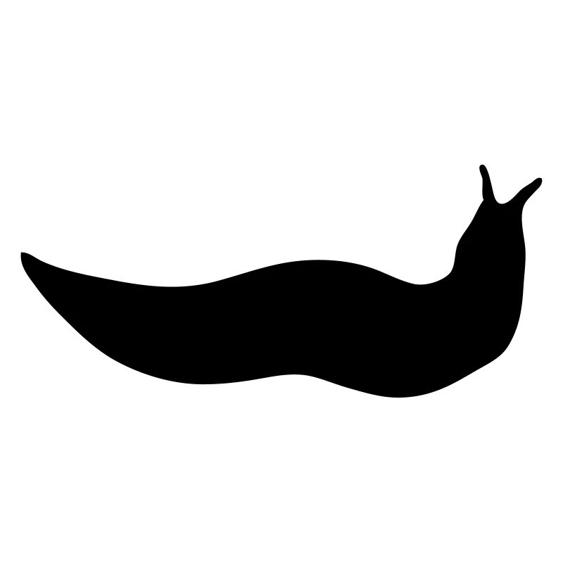 slug