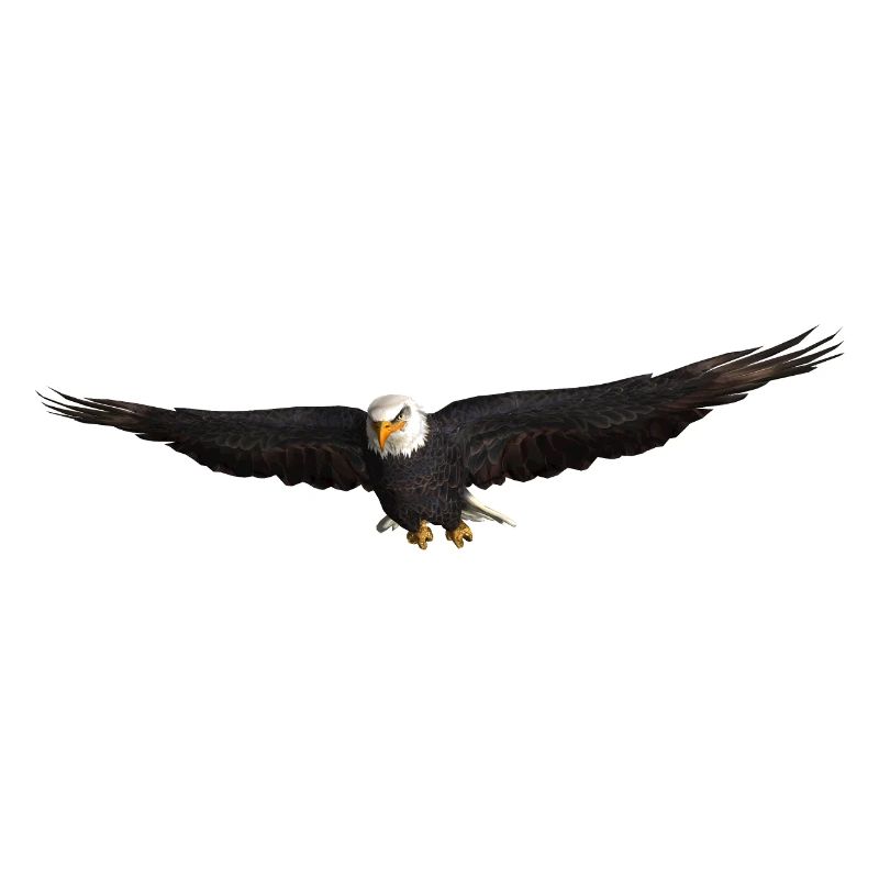 Aigle blanc