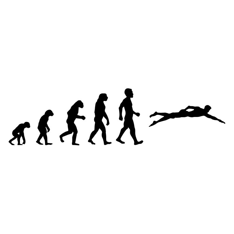 Evolution motif as a gift for swimmers