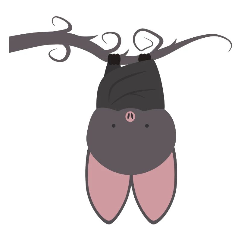 Fledermaus