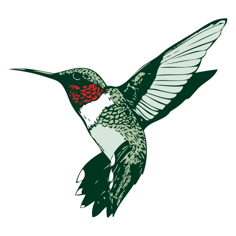 colibri