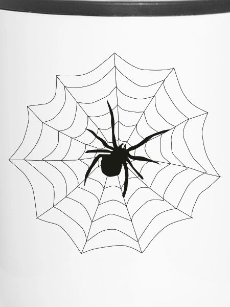 Spinne Netz
