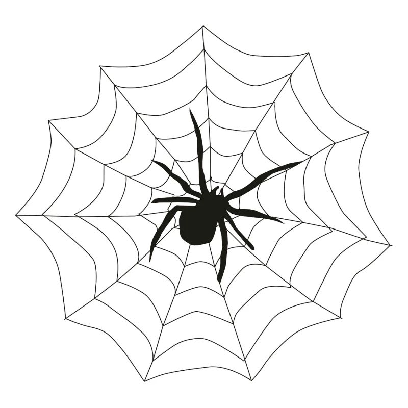 Spider web