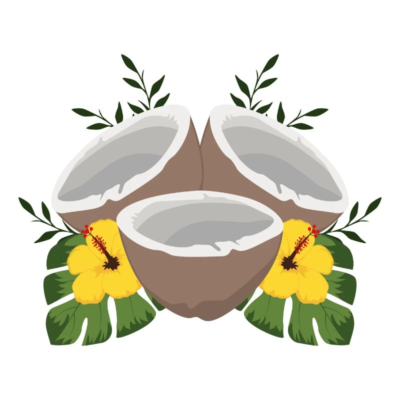 Noix de coco d'été