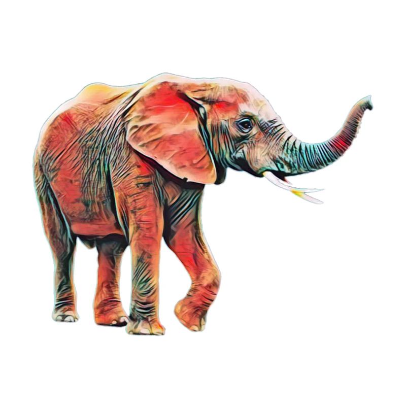 elephant