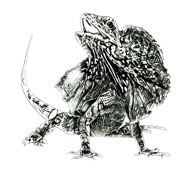 frilled lizard