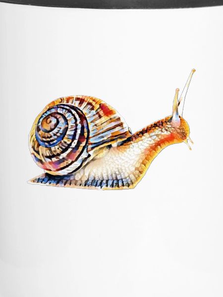Schnecke