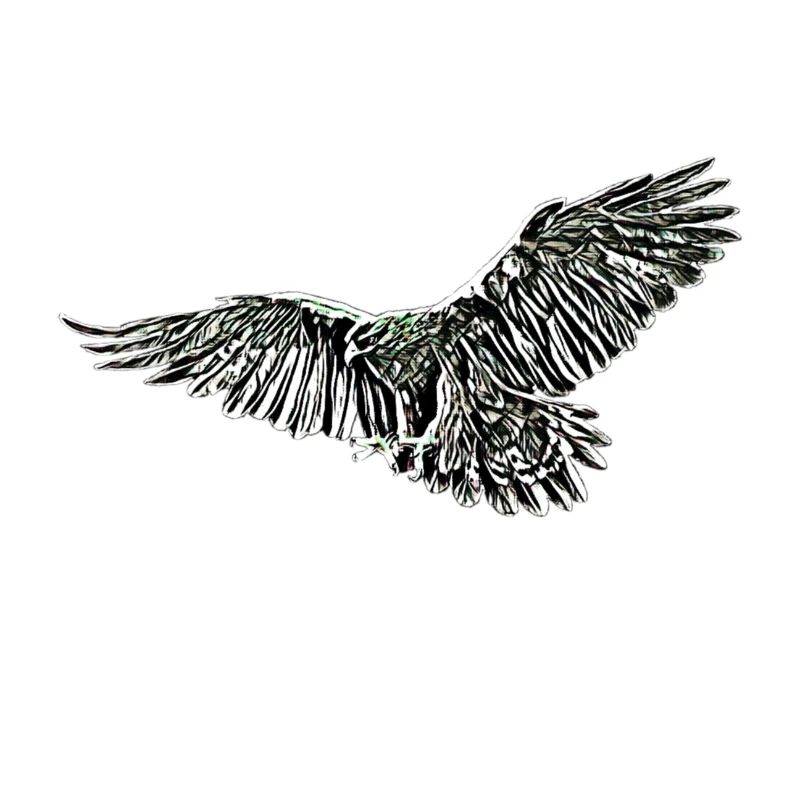 Aigle