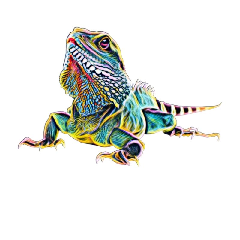 Leguan