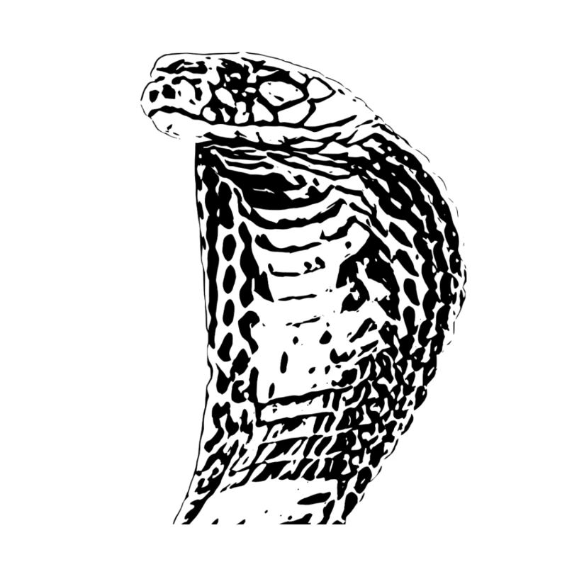 Cobra