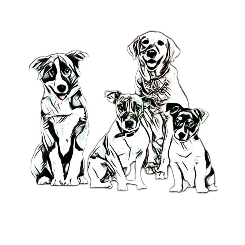 dogs