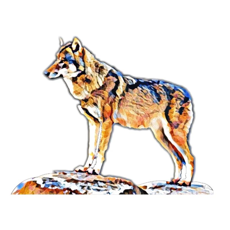 wolf