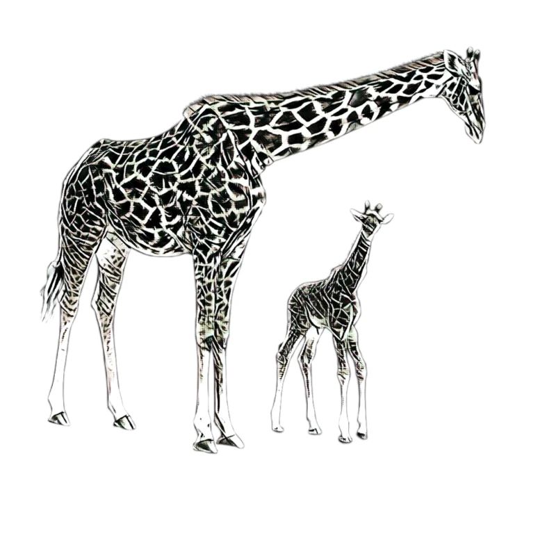 giraffe