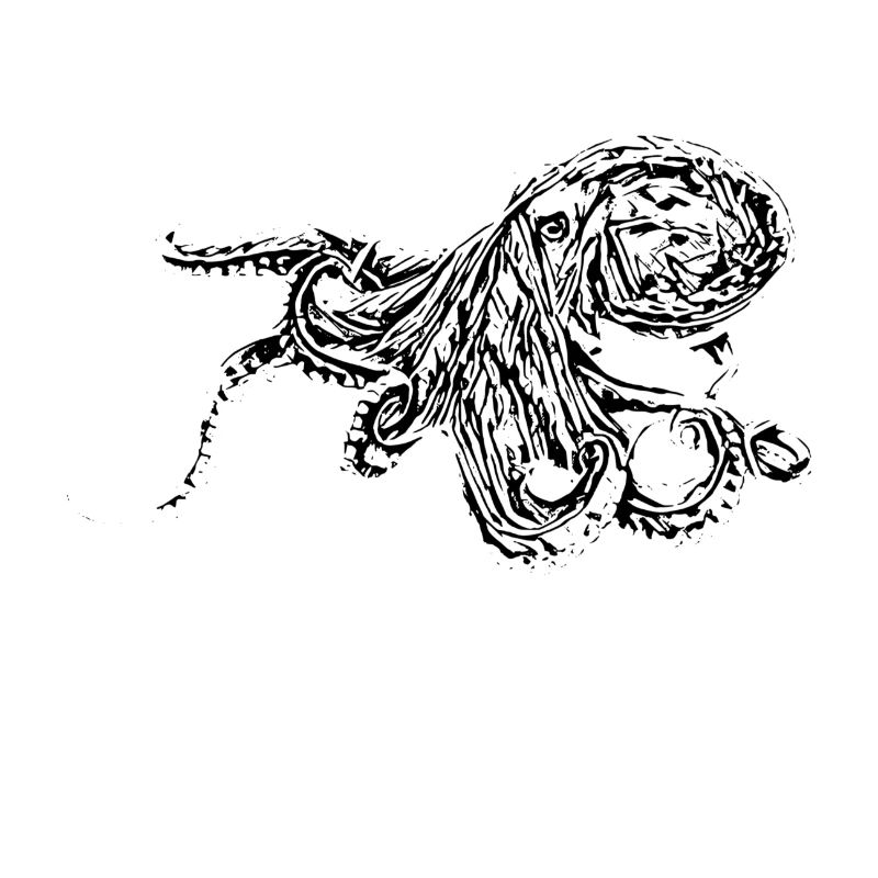 octopus