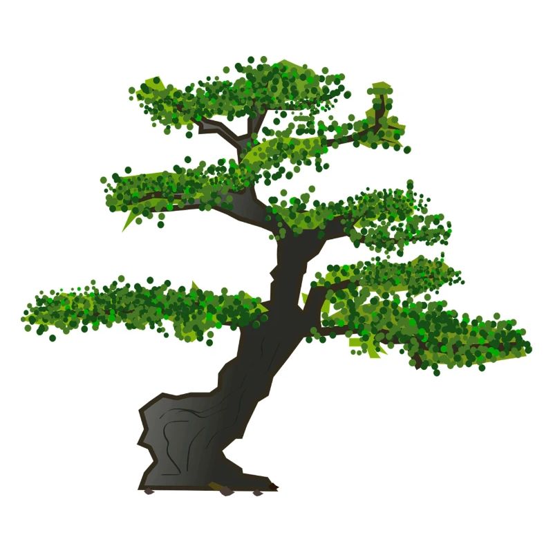 Bonsai