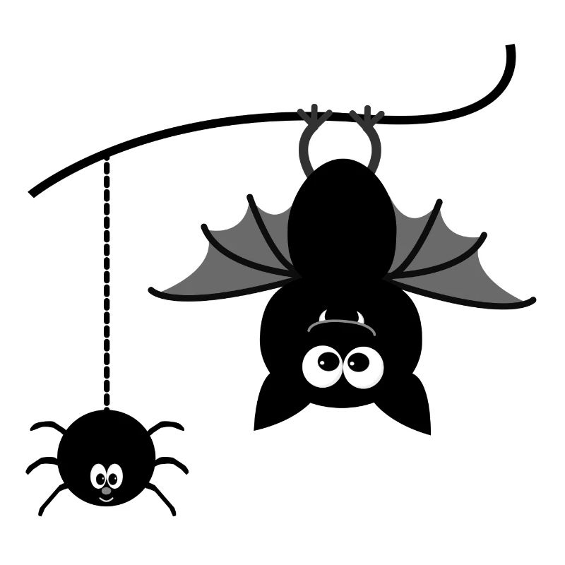 Fledermaus und Spinne