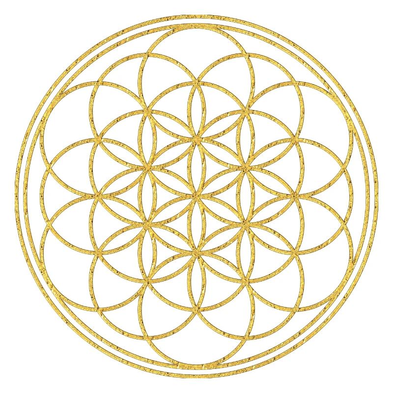 Fleur De La Vie - The Beginning 3