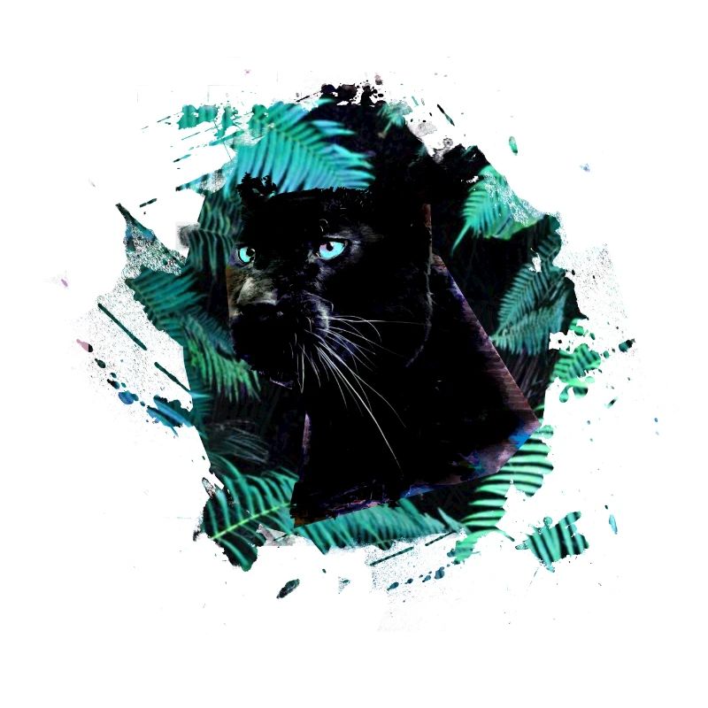 panthère, guépard, léopard, noir, vert, jungle