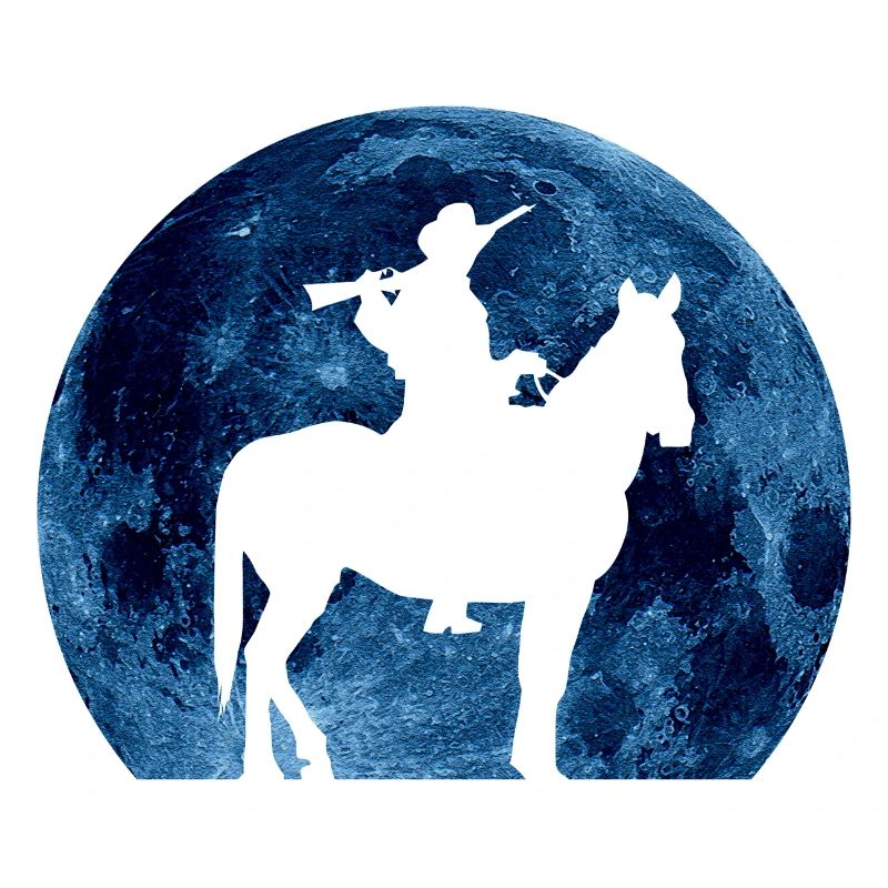 Red Dead Redemption Cowboy