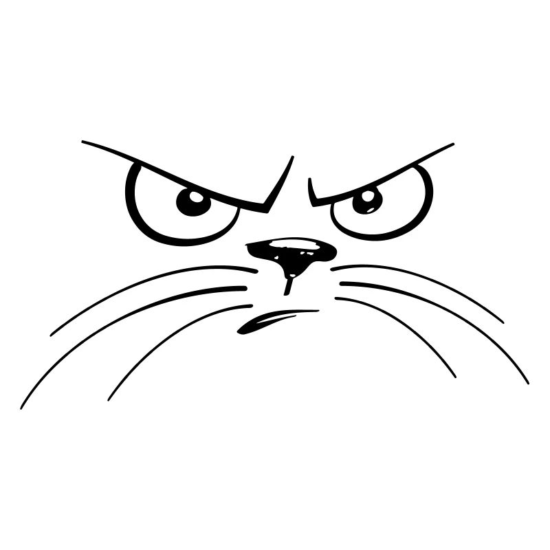 angry cat
