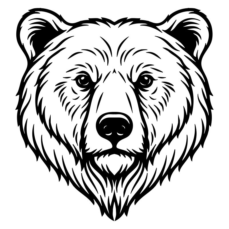 Bär Illustration