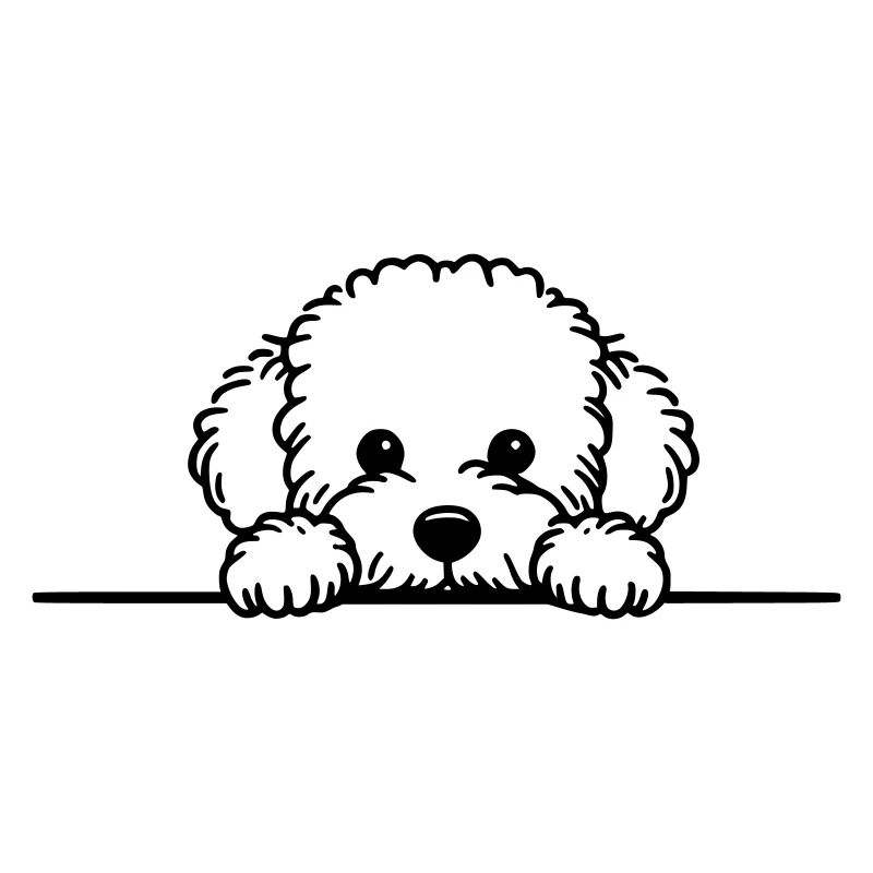Peeking Maltese - Maltipoo Vector