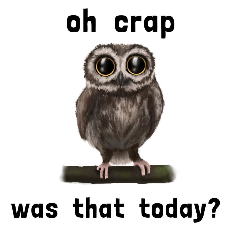 Uhu Eule - forgetful