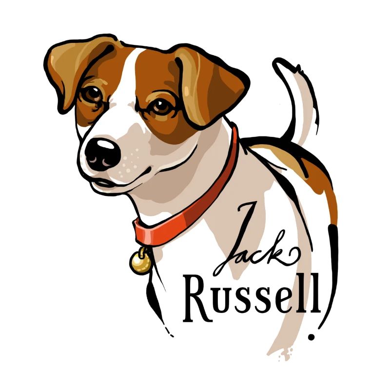 Jack Russell