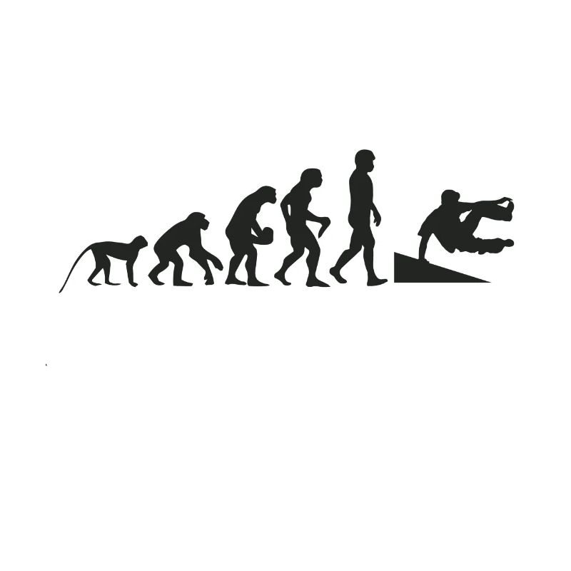 Inliner evolution