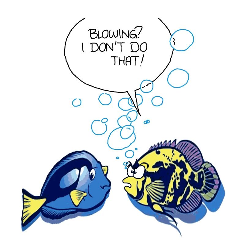 Fish Blowing