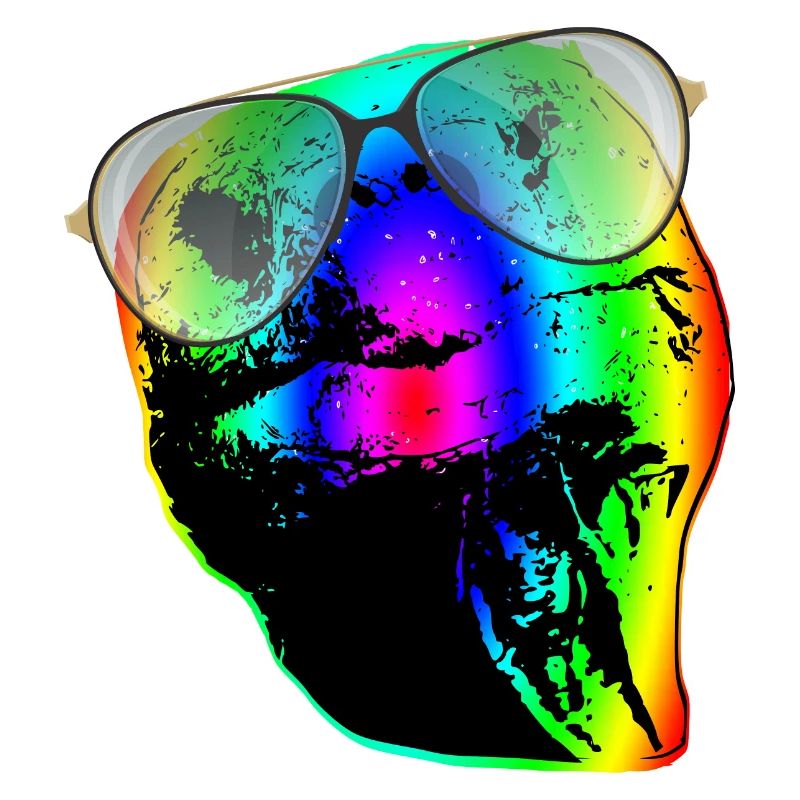 Turtle Sunglasses Turtles Rainbow