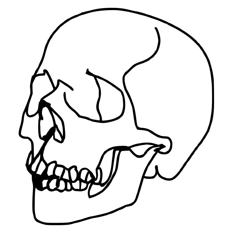Skull Oneline