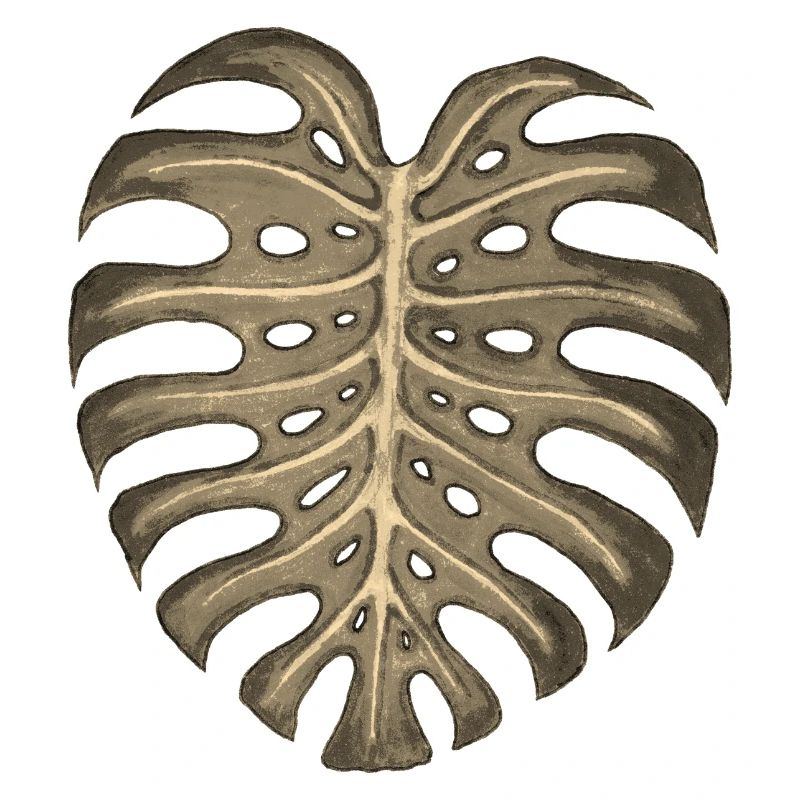 Monstera