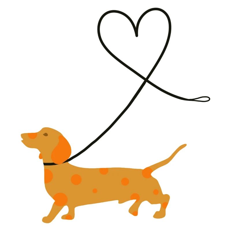 Dachshund
