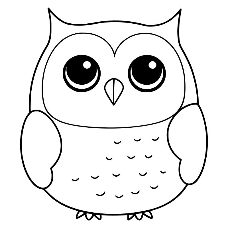 Owl as vector graphic
