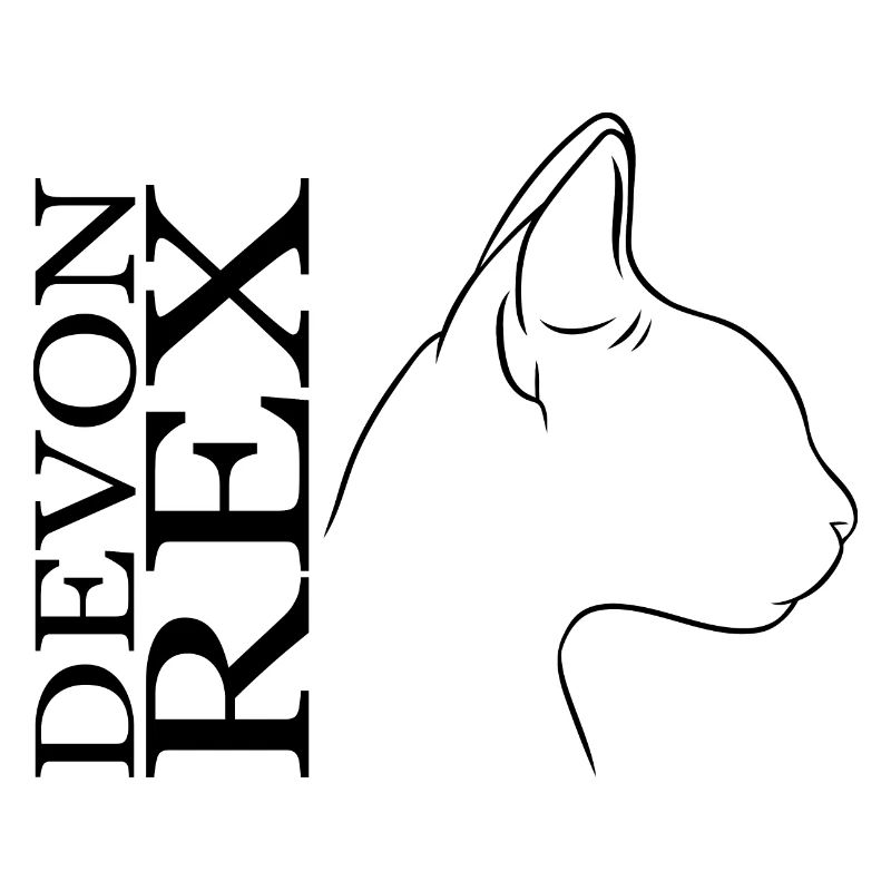 Devon Rex Profil Katzen Katze Wilsigns
