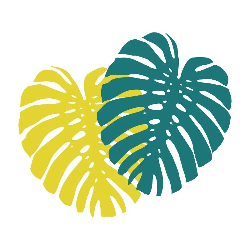 Monstera Blatt