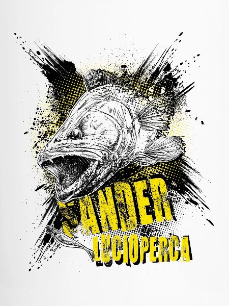 Zander