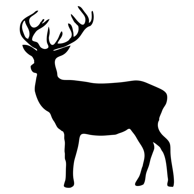 cerfs - bois de cervidé - la chasse - chasseur