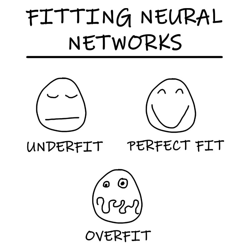 Datascience: Neural Networks Model Fitting (Black)