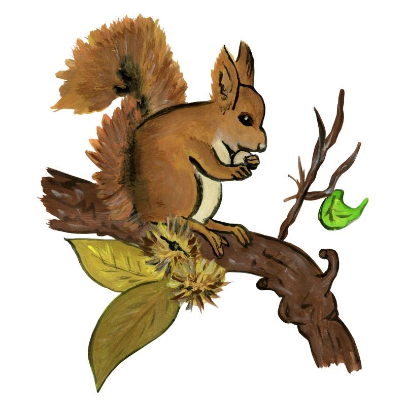 Herbst Eichhörnchen - Herbst Eichhörnchen Eichhörnchen