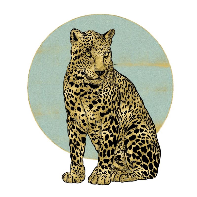 Léopard